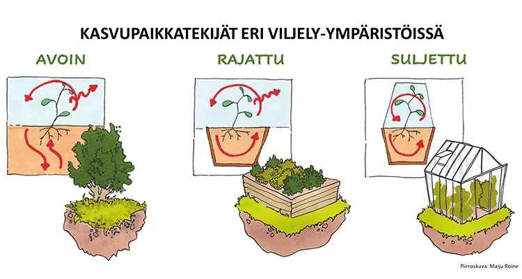 Kasvupaikkatekijät avoimessa, rajatussa ja suljetussa viljely-ympäristössä