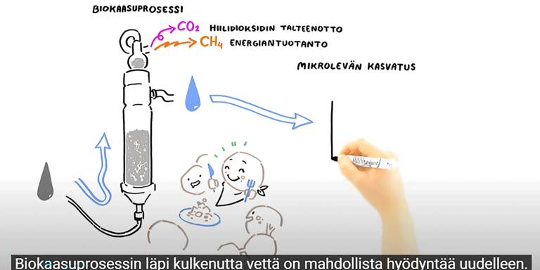 Kuvakaappaus Tussitaikureiden mikroleväprosessia avaavasta piirrosvideosta