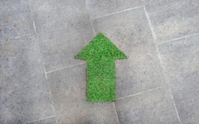 Many Shades of Green – Guidance counsellor students’ perceptions of green guidance