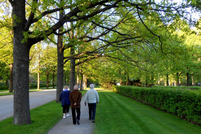 People walking in a park in summer.