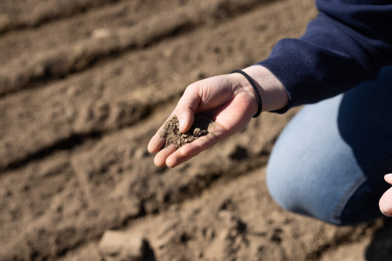 Ihminen pitää maata kädessään/ Person is holding soil on their hand