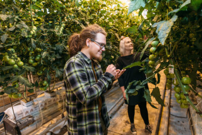 Työharjoittelun merkitys, haasteet ja mahdollisuudet Hämeen ammattikorkeakoulun Professional Horticulture -koulutuksessa