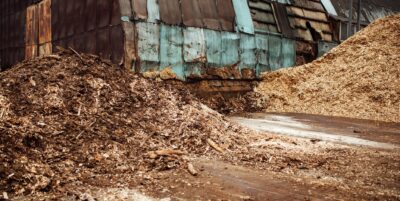The Alchemy of Waste: Turning Wood Scraps into Climate-Resilient Solutions