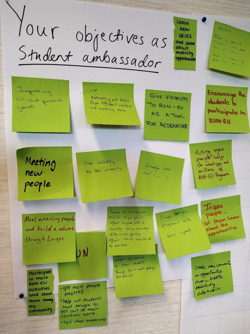 Image of a whiteboard full of Post-It notes that describe the various roles of a RUN-EU student ambassador.