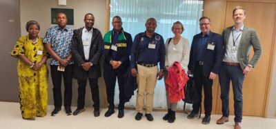 The Blessed Bliss of Project Reporting