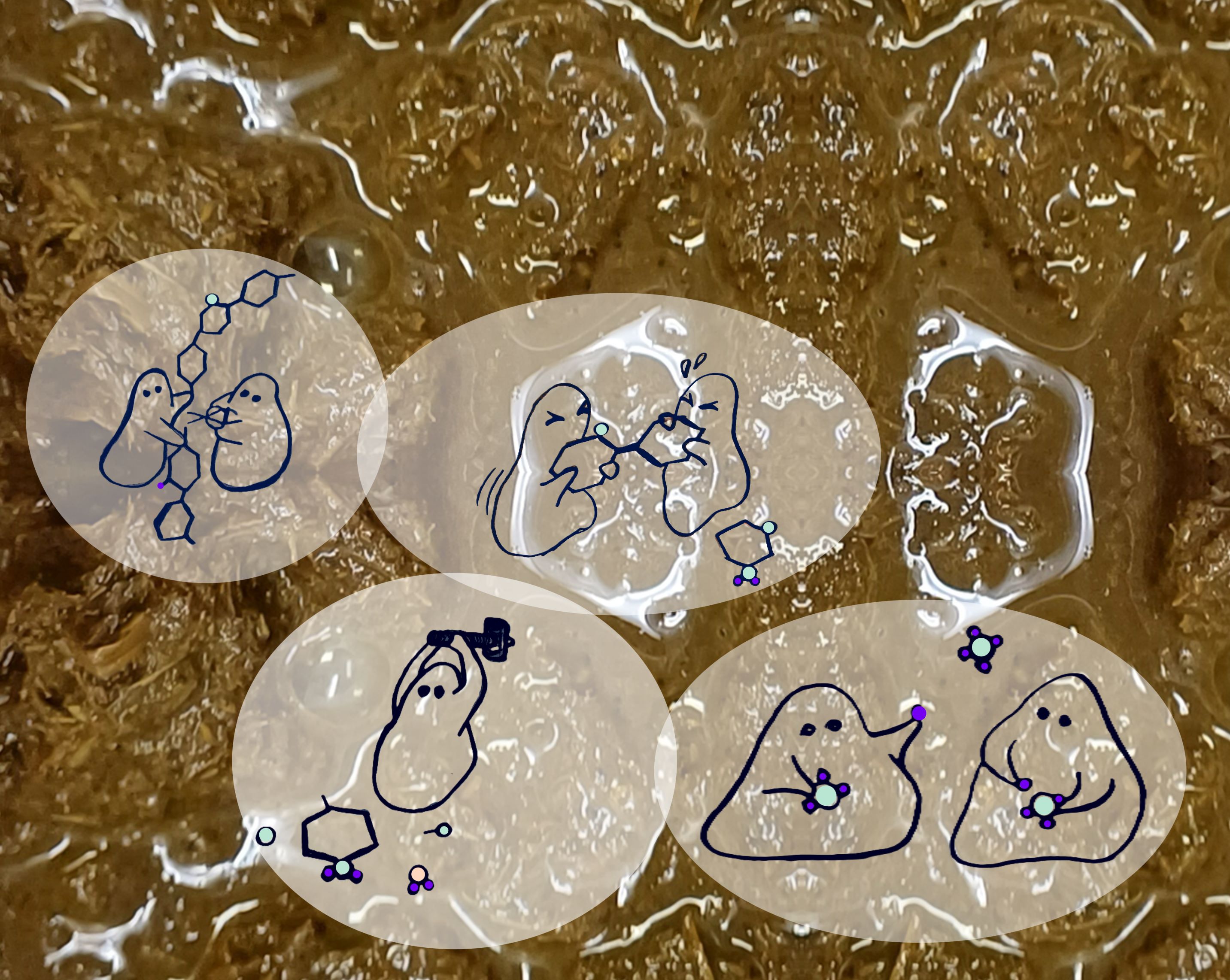 Piirrosmikrobit hajottavat kolmessa eri vaiheessa pitkäketjuisia molekyylejä pieniksi ja lopussa neljännessä vaiheessa mikrobit rakentavat pienistä osasista metaanimolekyylejä.