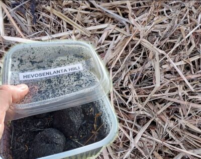 Biohiili vauhdittaa Suomen ilmastotavoitteiden saavuttamista