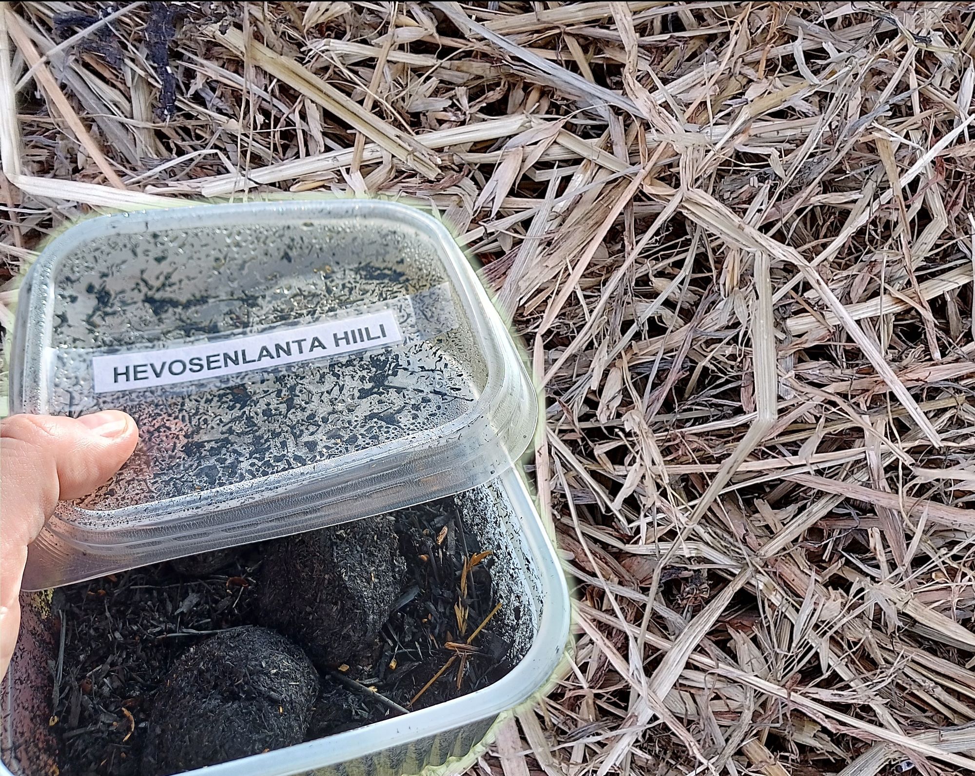 Muovirasiassa näkyy mustaksi hiiltynyttä hevosenlantaa ja rasian kannessa on teksti ”hevosenlanta hiili”. Kuvan laidoilla näkyy kuivattua säilöheinää.