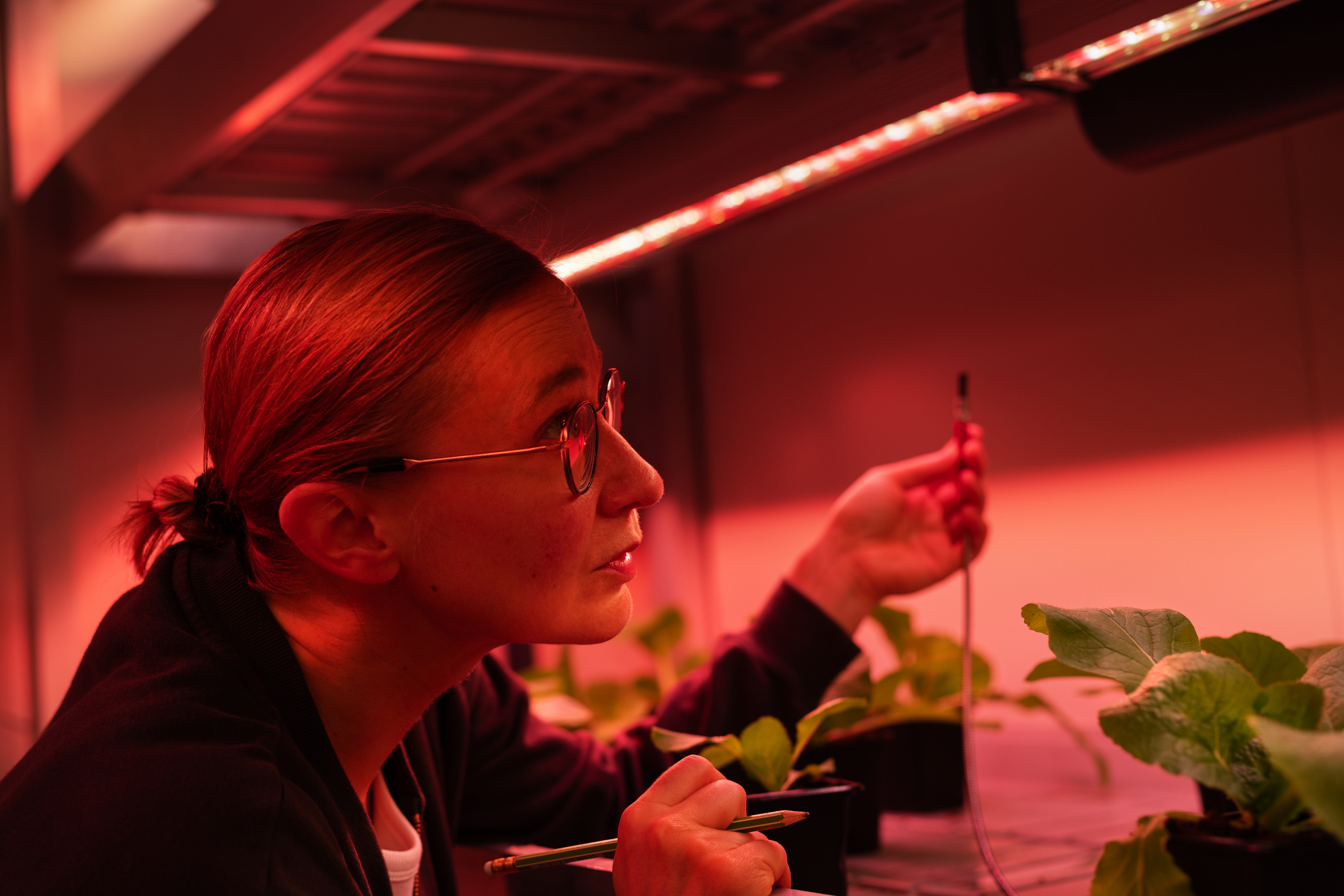 Nainen tutkii jotakin/ A woman is researching something