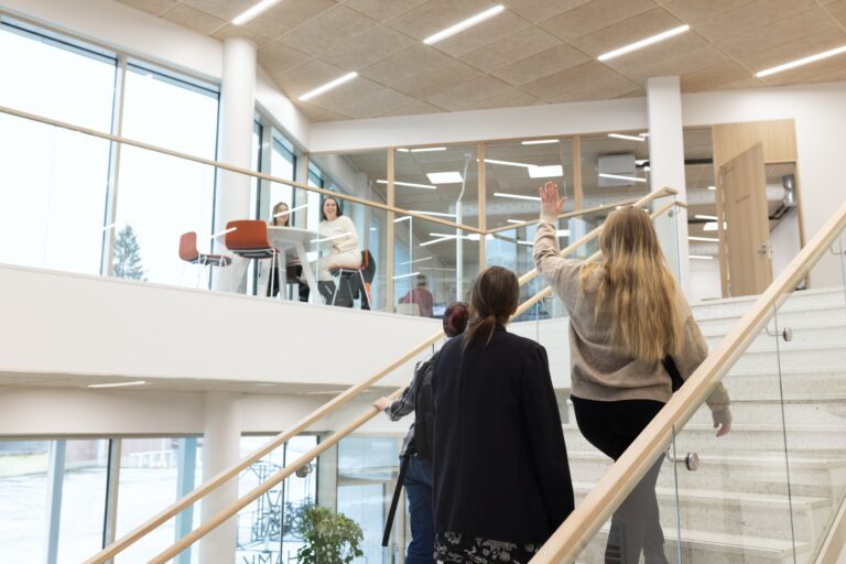 Laadulla ammattiin & työhön, tuen tarve