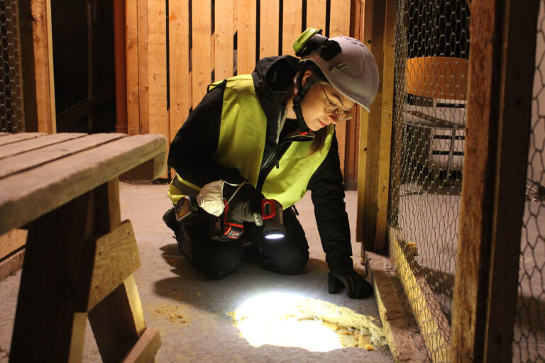 Lotta tekemässä rakenteiden kuntotarkastusta HAMIn meijerialan entisen opiskelija-asuntolan ullakolla.