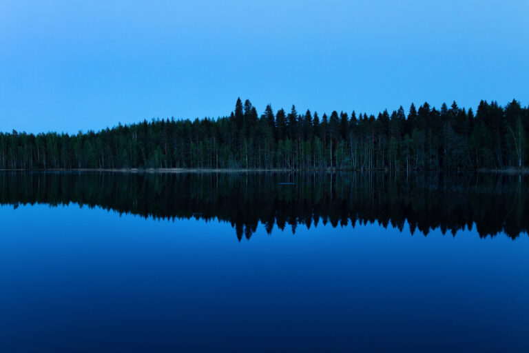 A lake with forest behind it/ Järvi ja metsää sen takana