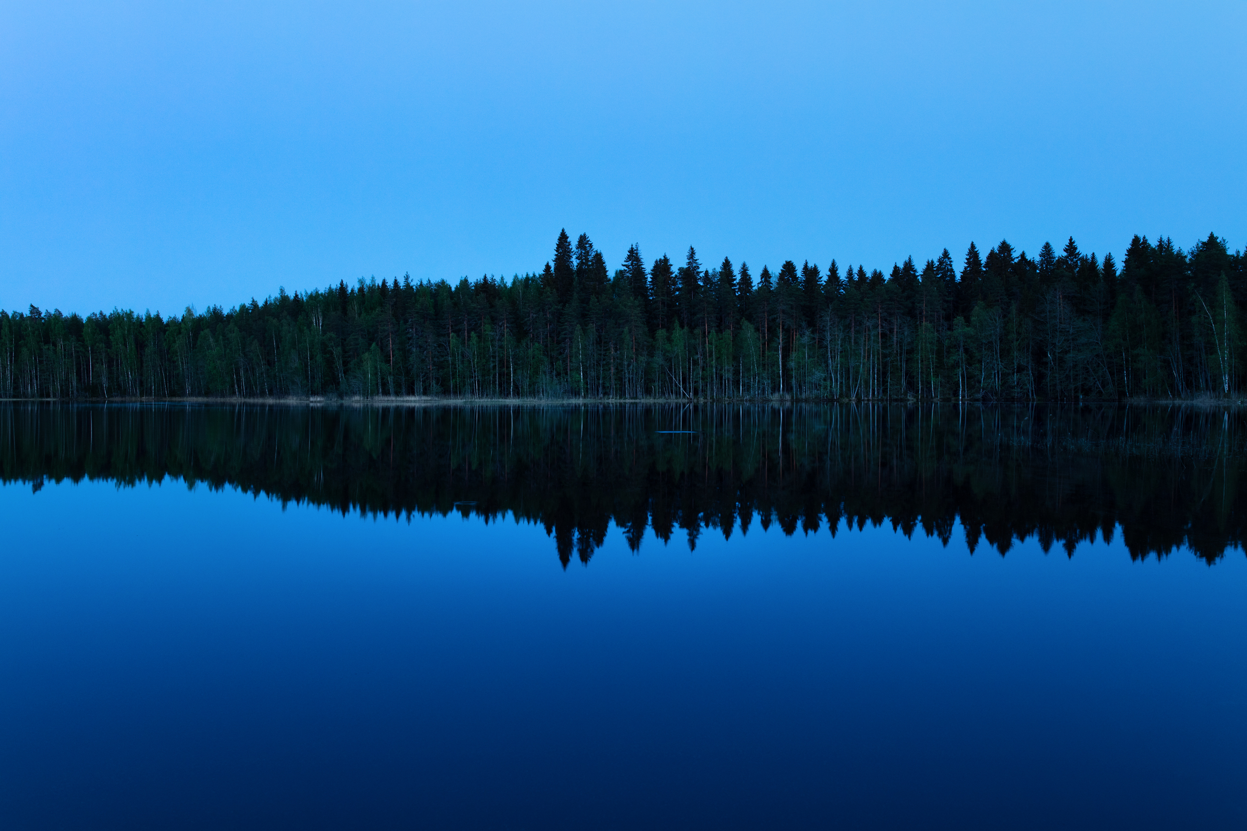 A lake with forest behind it/ Järvi ja metsää sen takana