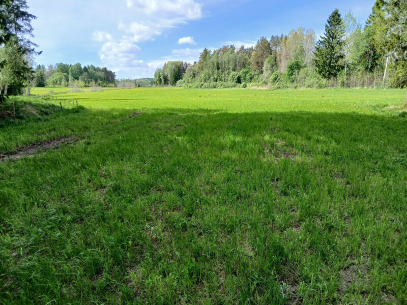 Hakamaa 25.5.2026