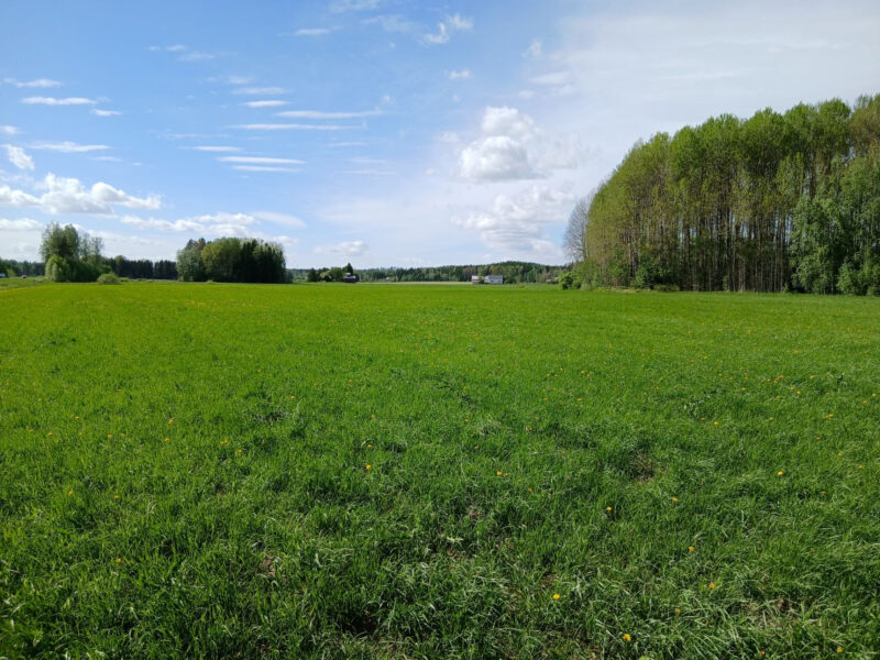Iso-lassila 25.5.2026