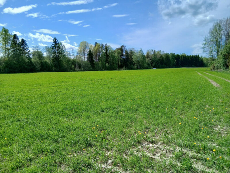 Kyttälä 25.5.2026