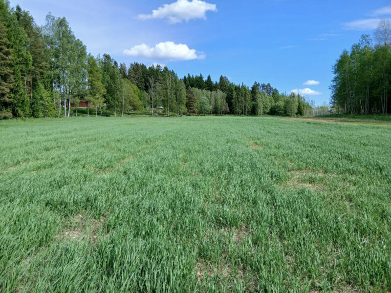 leipurinlohko 25.5.2026