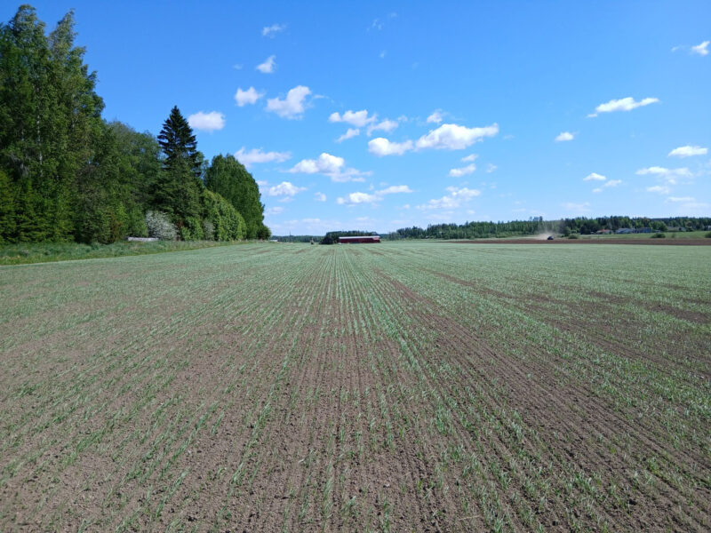 mönkkö 25.5.2026