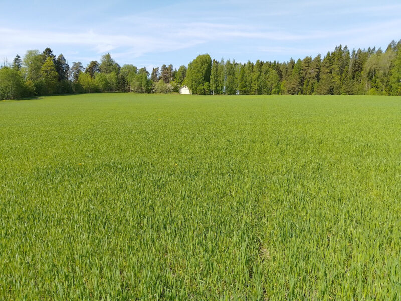 Nokkamäki 21.5.2026