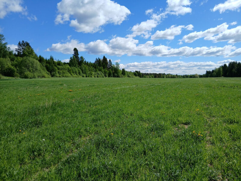 uusikylä29_5
