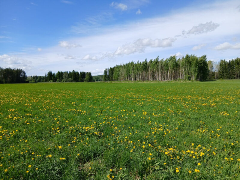valtatie 25.5.2026