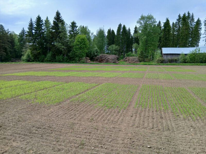 nummilohko 22.5.2026