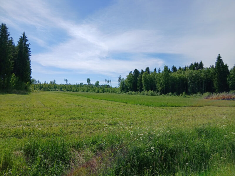 etu-lassila 18.6.2026