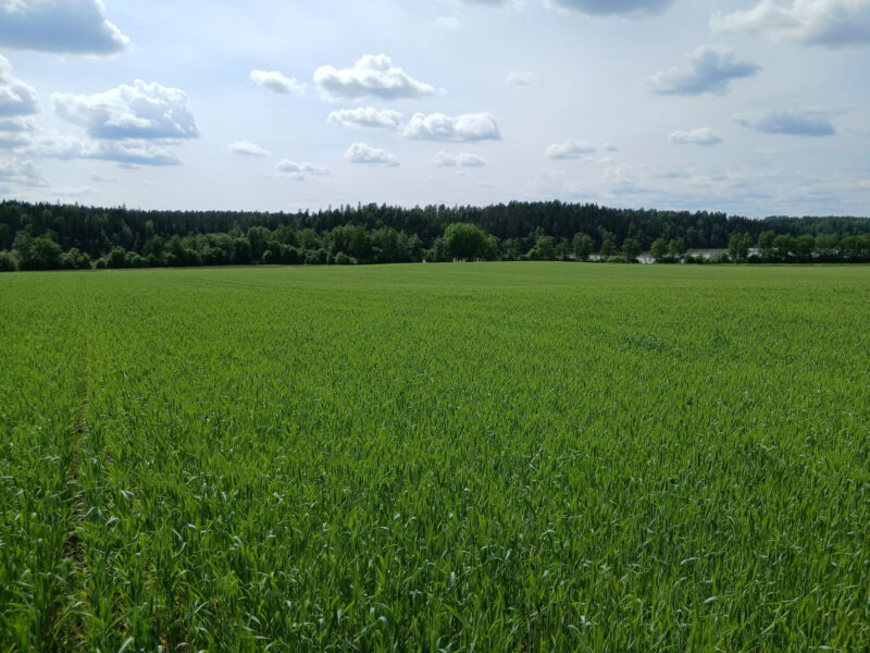 hakala 8.6.2026