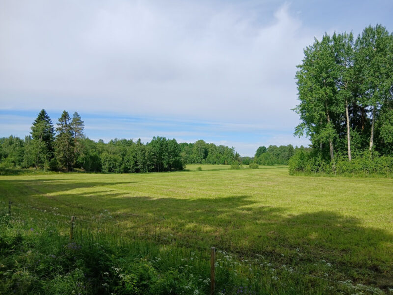 hakamaa 18.6.2026