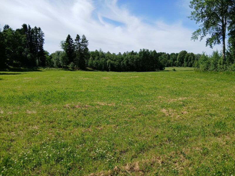 hakamaa 23.6.2026
