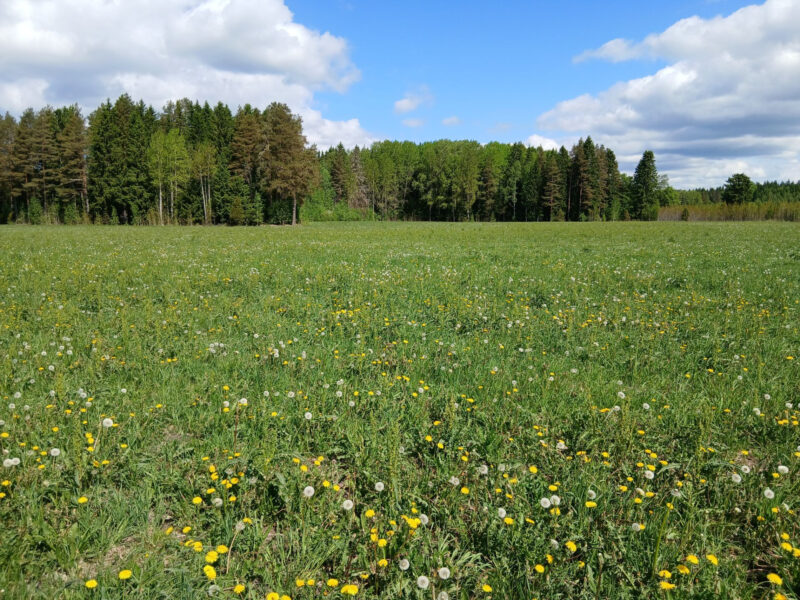 härkihaka 2.6.2026