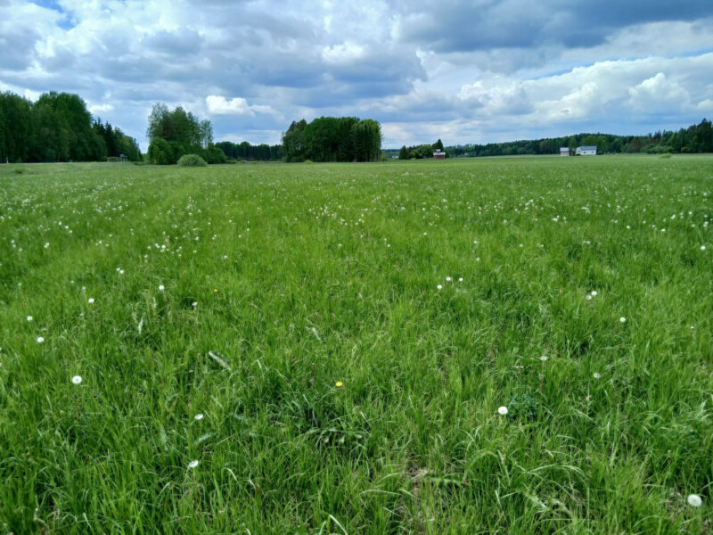 iso lassila 1 2.6.2026