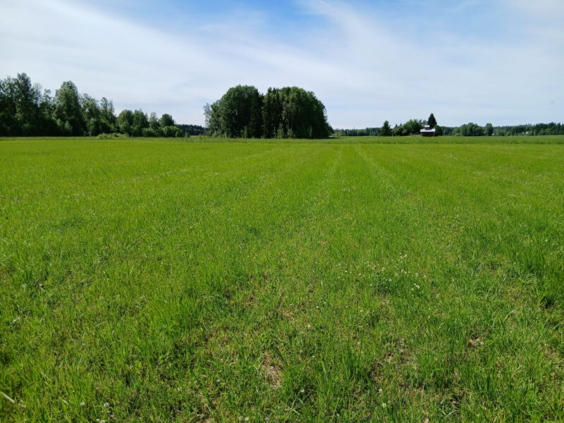 iso-lassila 23.6.2026