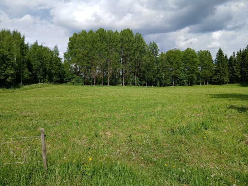 kaski 2.6.2026