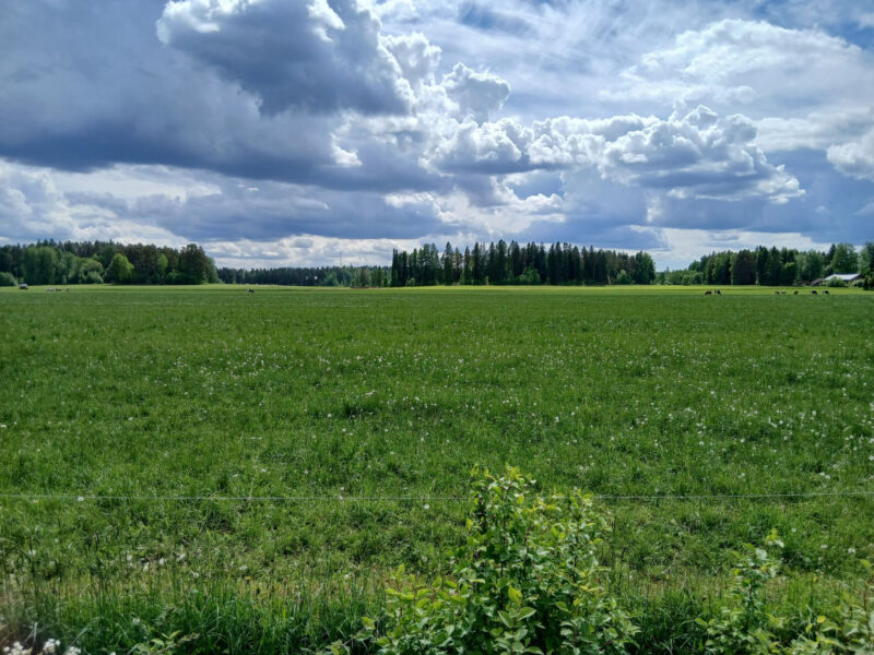 kuivurilohko 2.6.2026