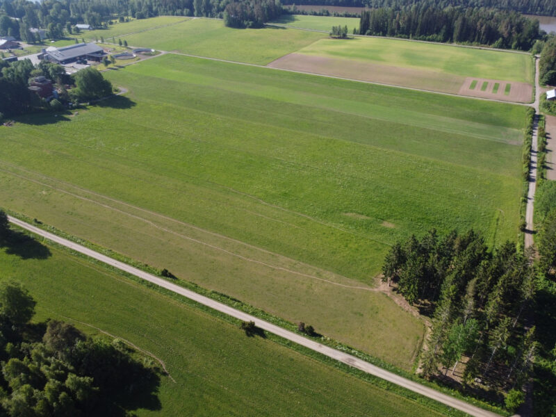 kuivurilohko 11.6.2026