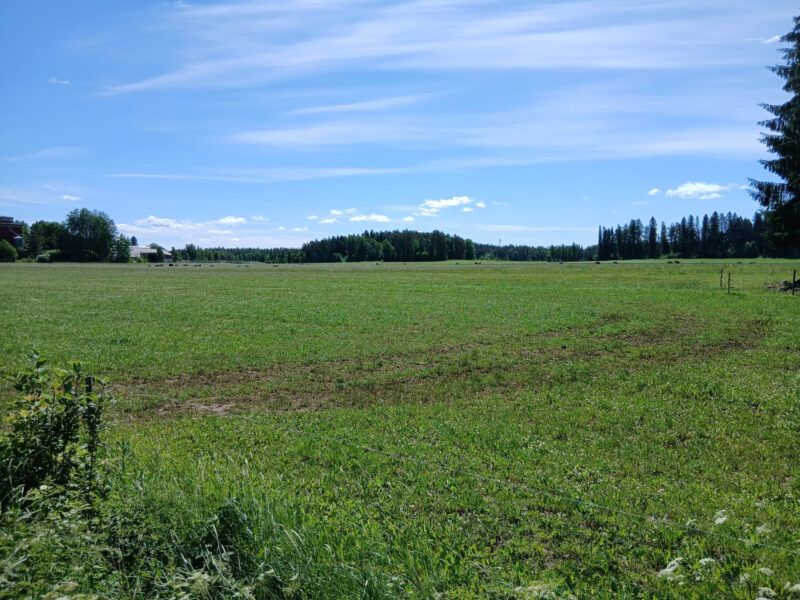 kuivurilohko 23.6.2026