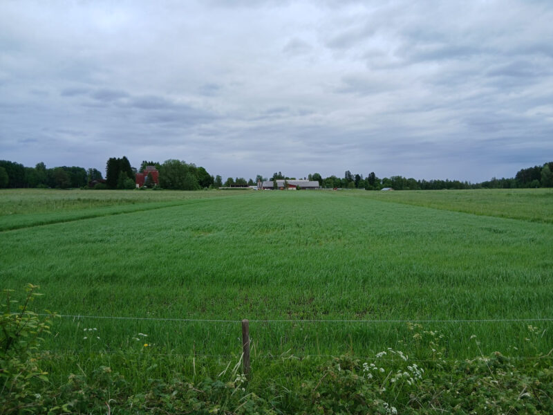kuivurilohko 17.6.2026