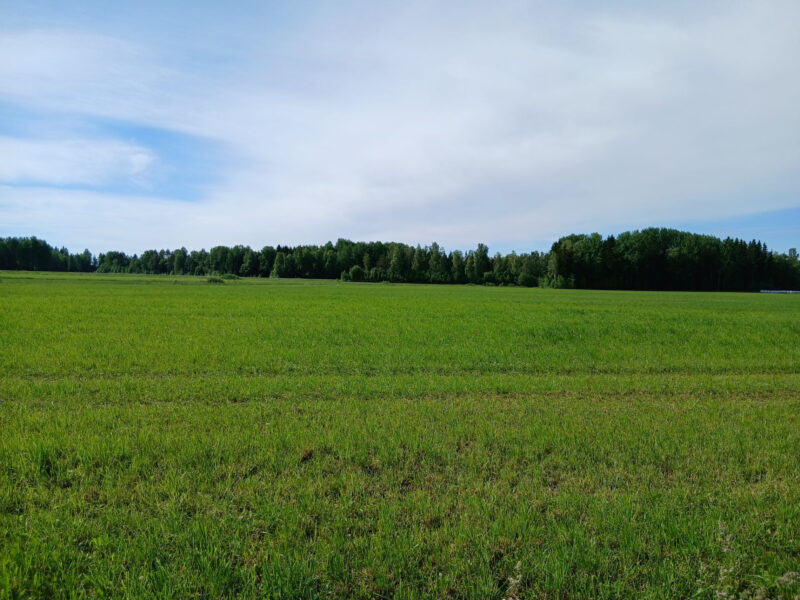 kylmäoja 18.6.2026