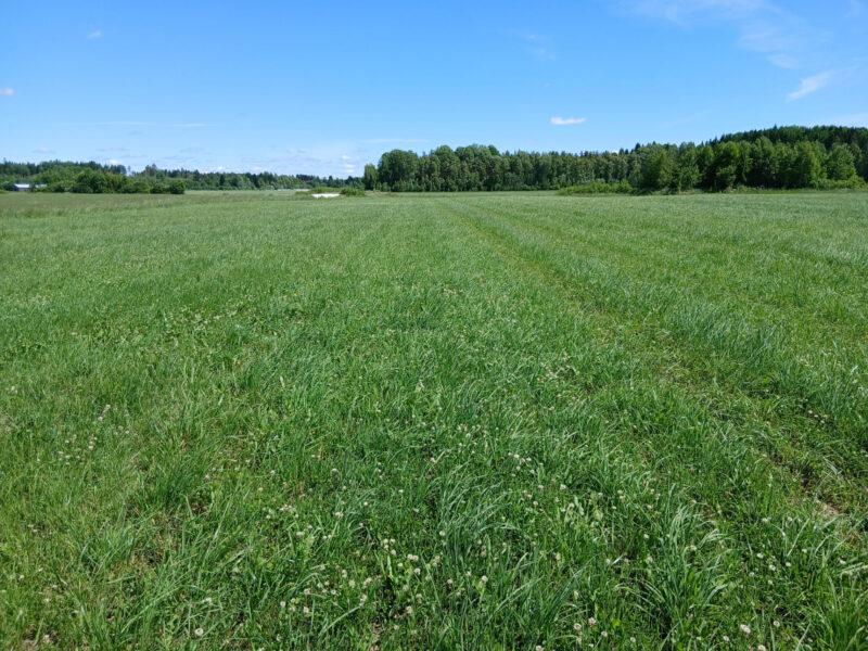 kylmäoja 23.6.2026