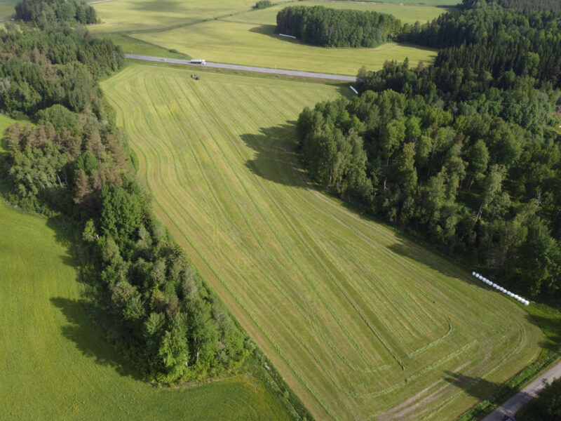 kyttälä 11.6.2026