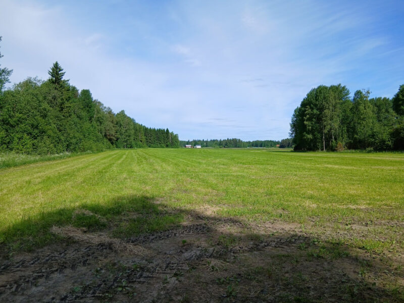 kyttälä 18.6.2026