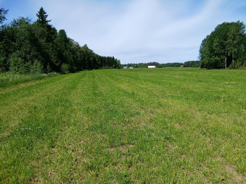 kyttälä 23.6.2026