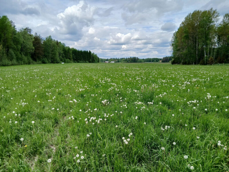kyttälä 2.6.2026
