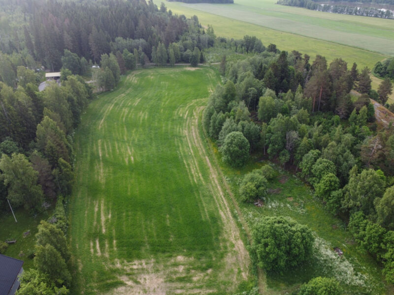 leipurinlohko 11.6.2026