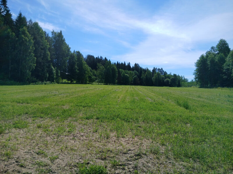 leipurinlohko 18.6.2026