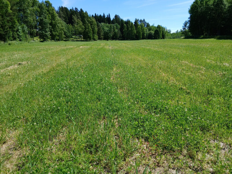 leipurinlohko 23.6.2026