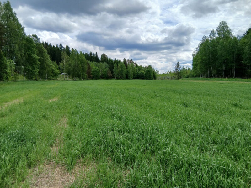 leipurinlohko 2.6.2026