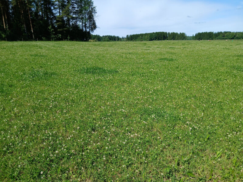 nummilohko 23.6.2026