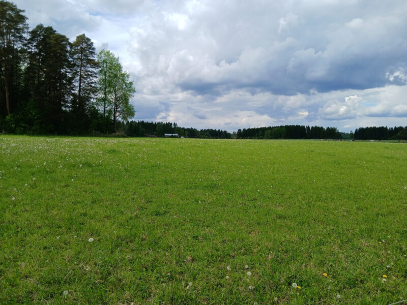 nummilohko 2.6.2026